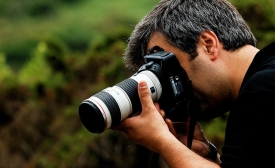 Photo by Pedro Ribeiro Simões / CC by-SA 2.0 The photographer. Sintra, Portugal.