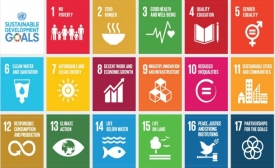 Photo courtesy of UN