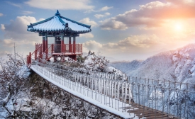 Image by Tawatchai Prakobkit via 123RF.com