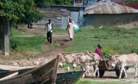 Photo reprinted courtesy Ryan Harvey via Flickr Rusinga Island