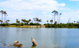 Photo reprinted courtesy mouse, via Flickr Beaufort, South Carolina