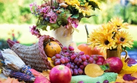 Photo reprinted courtesy of Jill111 via Pixabay Cornucopia, by Jill111