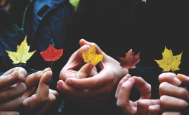 Photo reprinted courtesy of Providence Doucet via Pexels Autumn Leaves, by Providence Doucet