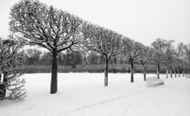 Photo reprinted courtesy of Nicolle Shekin via Pixabay Winter, by Nicolle Shekin