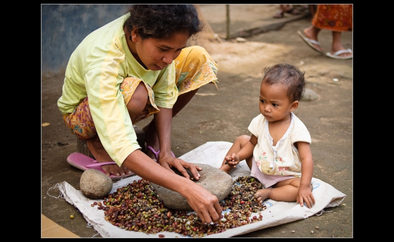 Photo reprinted courtesy Jos Dielis via Flickr Sorting coffee in Lombok