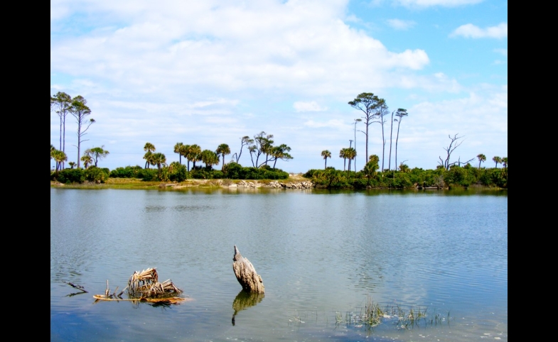 Photo reprinted courtesy mouse, via Flickr Beaufort, South Carolina