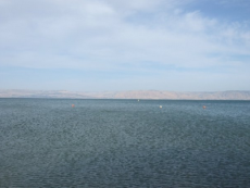 Lake Kineret, Israel Taken by the author in 2008.